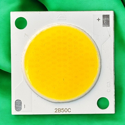 شيبايه وورم 2B50C / 30x30MM