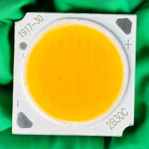 شيبايه وورم 2B30C / 19X19MM