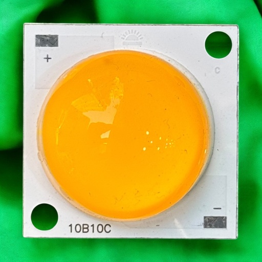 شيبايه وورم 10B10C / 29MM جيلاتين نص دايره