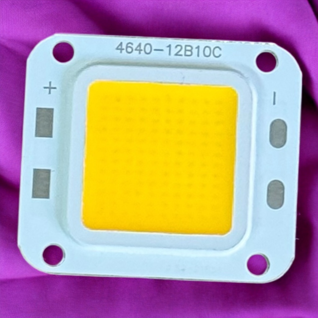 شيبايه وورم 12B10C / 46x40MM