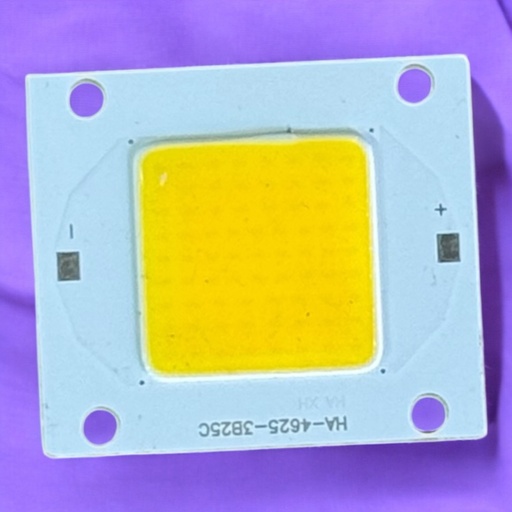 شيبايه وورم 3B25C / 4625