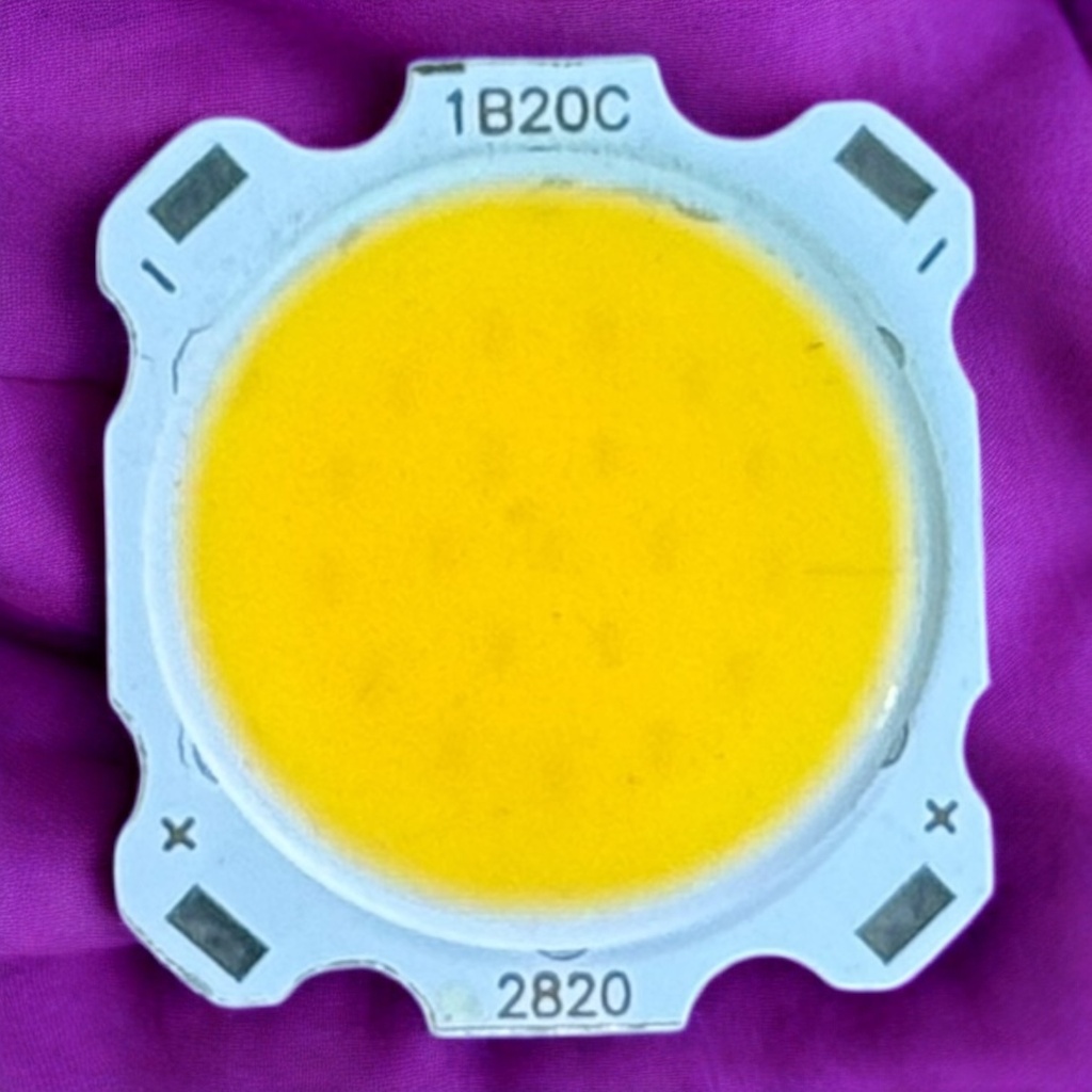 شيبايه وورم 1B20C / 2820