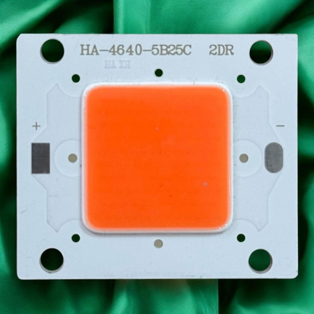 شيبايه احمر 5B25C / 46x40MM
