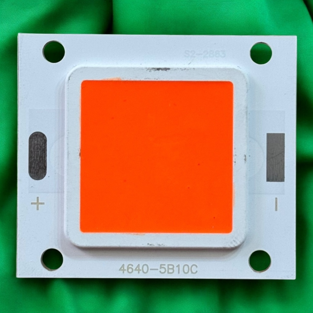 شيبايه احمر 5B10C / 46x40MM