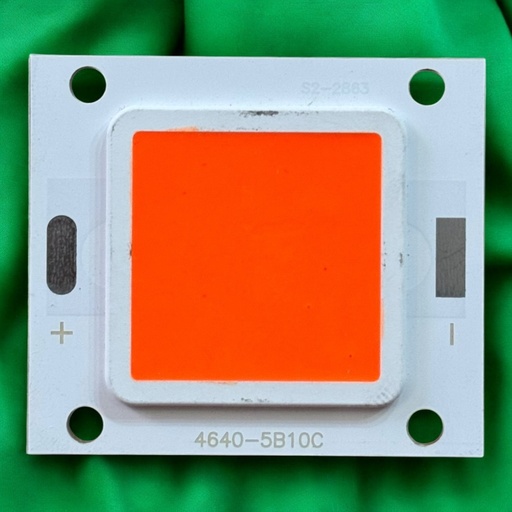 شيبايه احمر 5B10C / 46x40MM
