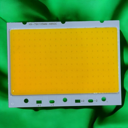 [HX-79X105-4B50C] شيبايه وورم 4B50C / 79X105